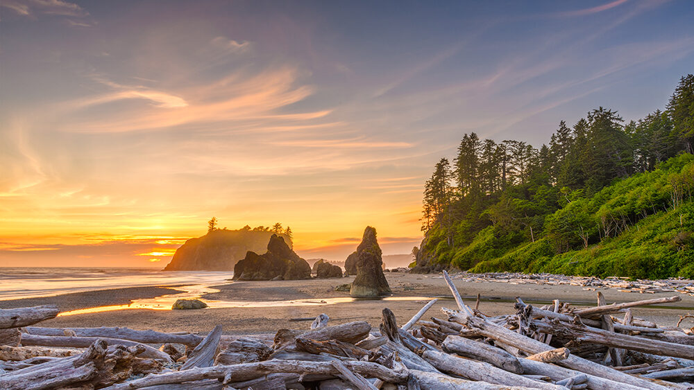 Olympic National Park, Washington, USA at Ruby Beach with piles of deadwood.