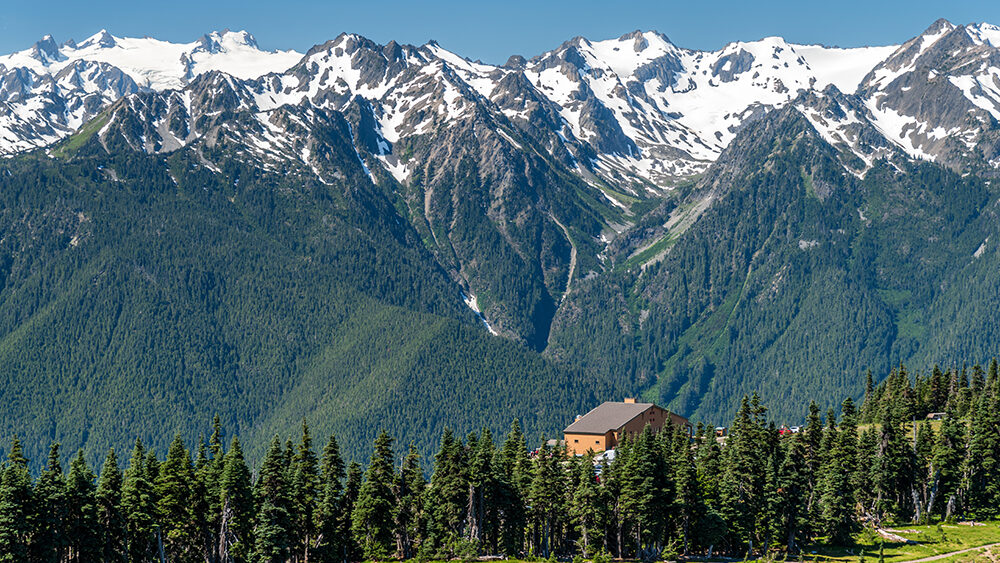 The Hurricane Ridge viewpoint of Olympic National park in Washington, USA. The background is snow mountain