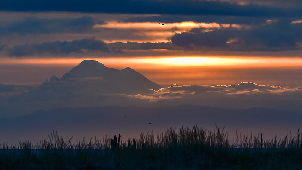 Mount Baker at Sunrise taken from Sequim, WA.