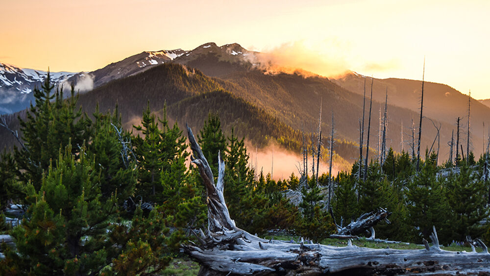 Mount Baker at Sunrise taken from Sequim, WA.